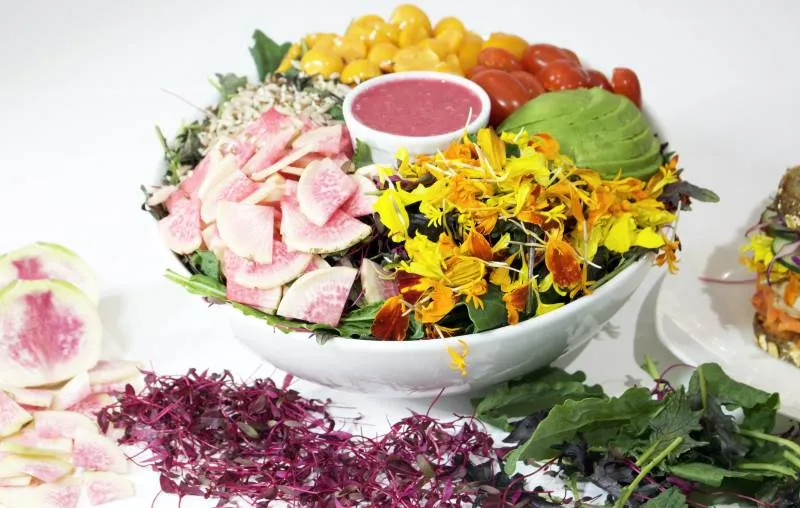 Fresh & Co. franchise for sale