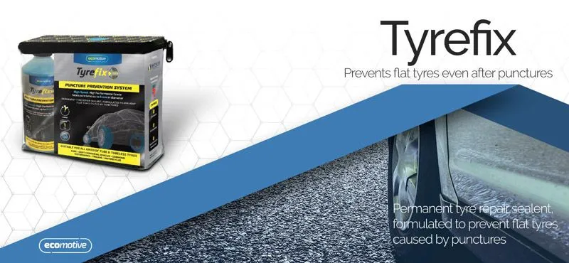 EcoMotive franchise for sale