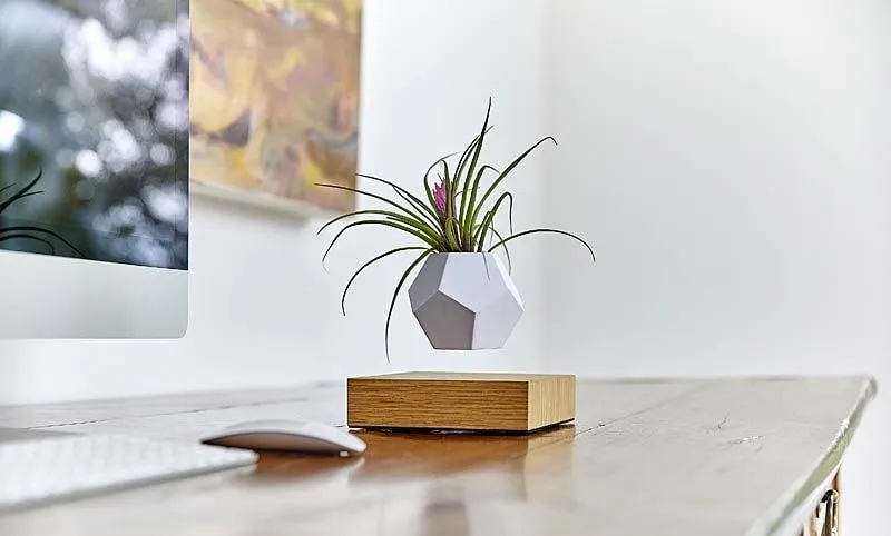 buy a LEVITTA franchise