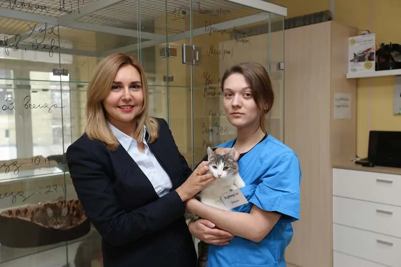 franchise BookingCat - pet hotels business