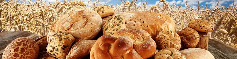 The Best 10 Bakery Franchise Businesses in the UAE for 2025 The Best 10 Bakery Franchise Businesses in the UAE for 2025