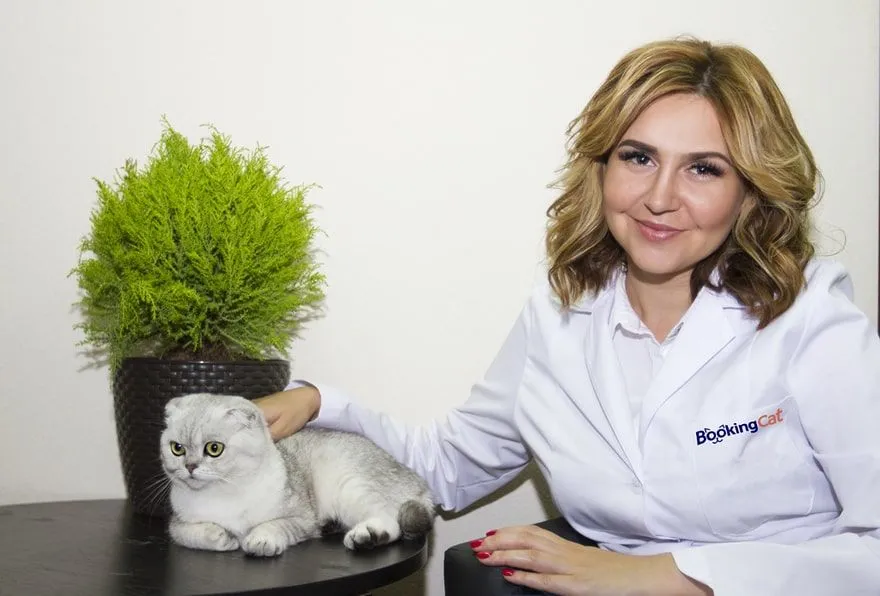 BookingCat - Successful Franchise Business