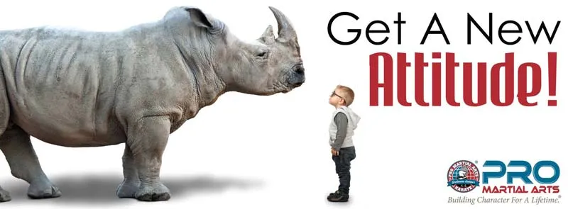 About Pro Martial Arts franchise