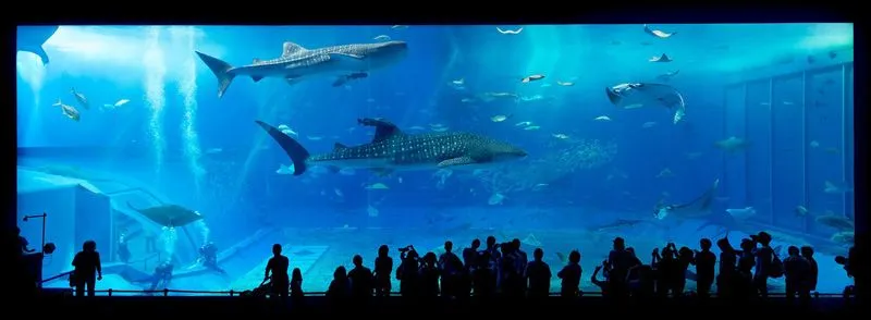 AQUARIUMWORLD AQUARIUMWORLD