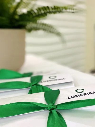 Franchise LUMERIKA Franchise LUMERIKA