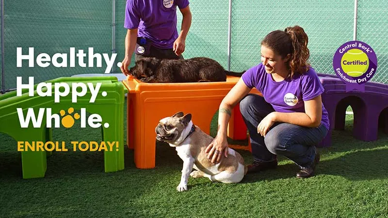 Central Bark franchise Central Bark franchise