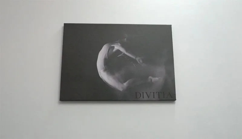 DIVITIA
