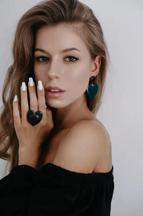 business model of the SLONVISH franchise business model of the SLONVISH franchise