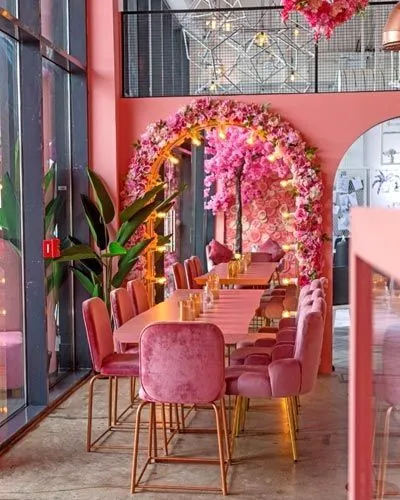 Saya franchise to own