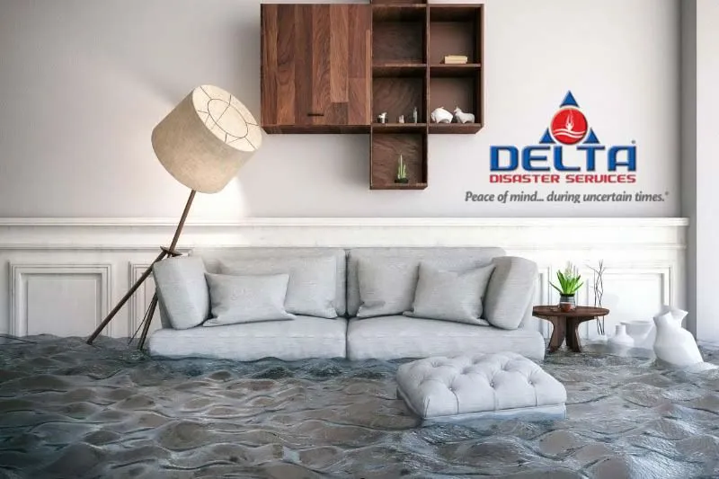 Delta Restoration Services Franchise