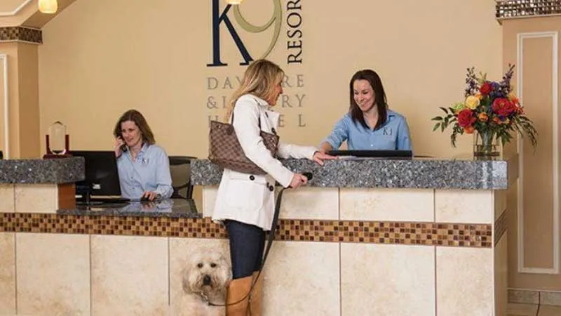 K9 Resorts franchise K9 Resorts franchise