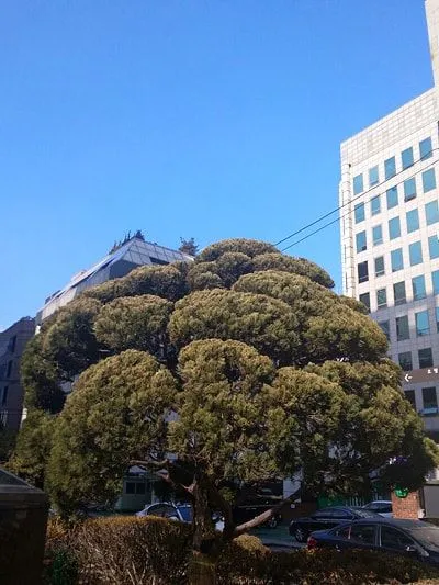 International Franchising Fair in Seoul - img 4 International Franchising Fair in Seoul - img 4