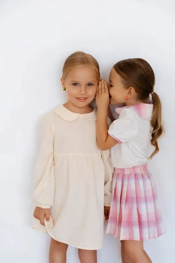 franchise business SLONVISH franchise business SLONVISH