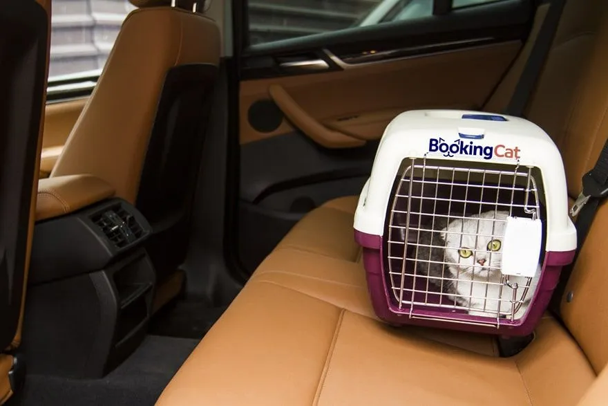 BookingCat - How to Start a Franchise Business