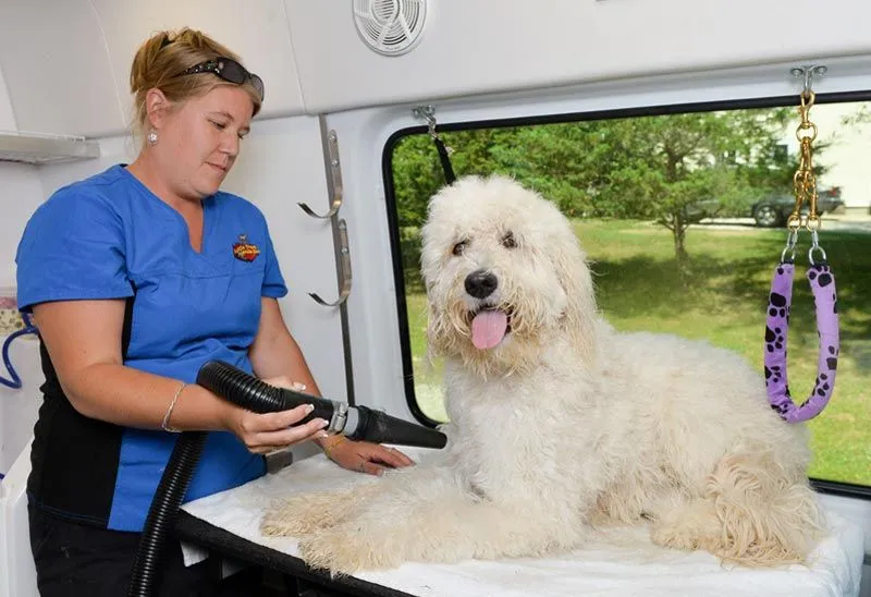 Aussie Pet Mobile Franchise