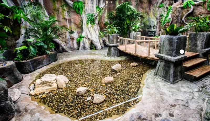 Papilonia franchise cost