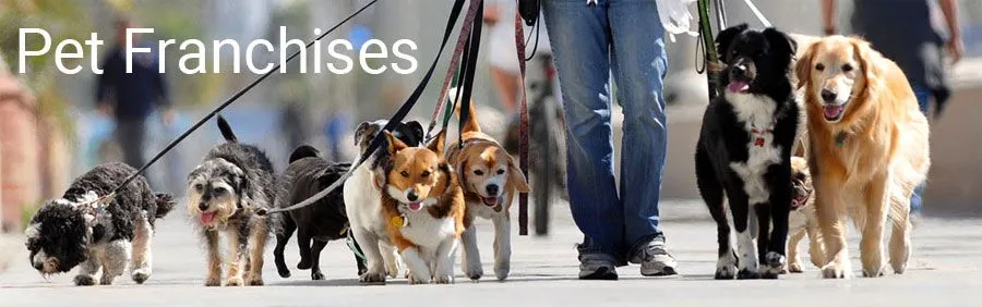 Best Pet Business Franchises Best Pet Business Franchises