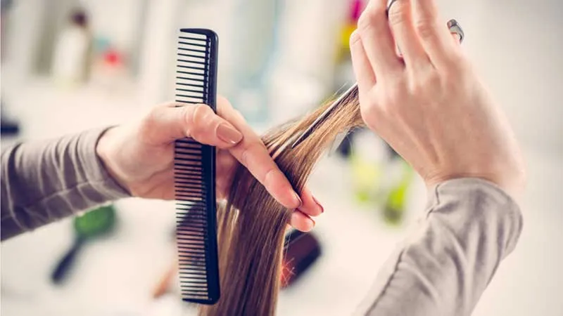 Purple Salon & Wellness franchise