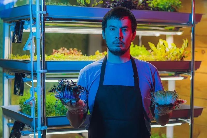 About the brand «Jashellek»