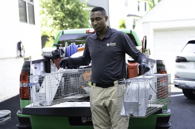 Pestmaster Franchise