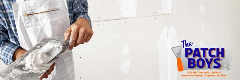 About The Patch Boys franchise