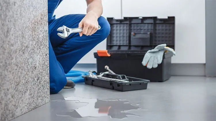 Best Property Restoration Franchise Business Opportunities in USA for 2025