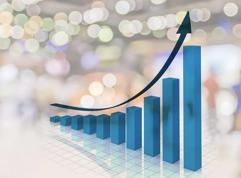 year of franchising sales year of franchising sales