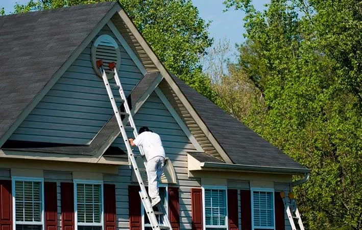 Rhino Shield franchise