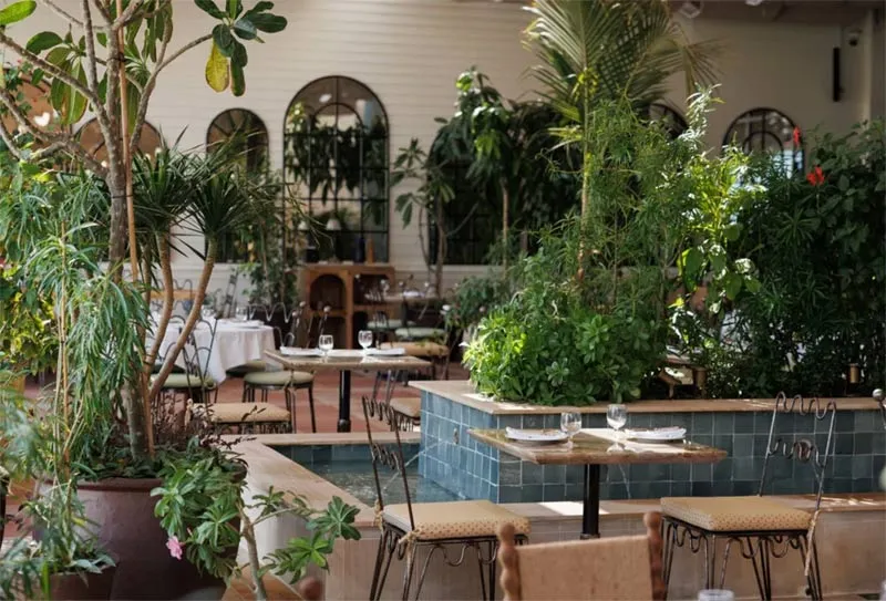 About the Soraya Franchise