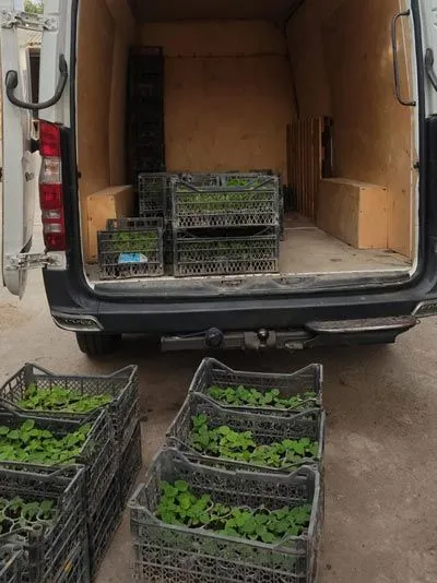 Greening.Global Franchise (2)