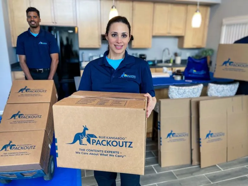 Blue Kangaroo Packoutz Franchise