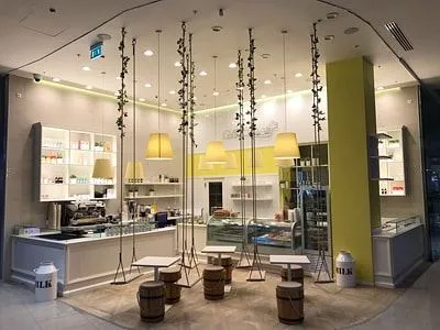 Fastest Growing Franchises - GVIDO Gelato