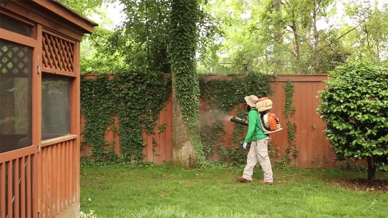 Mosquito Joe Franchise in the USA Mosquito Joe Franchise in the USA