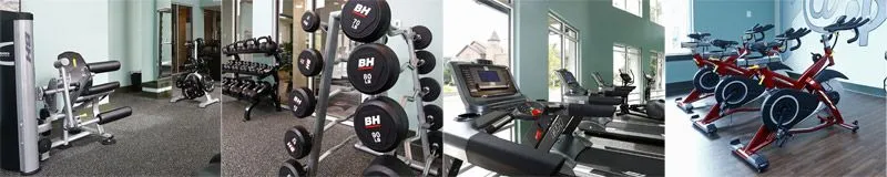 Best 10 Gym Franchises in USA for 2025