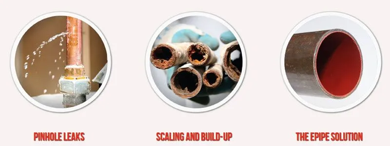 Ace DuraFlo Franchise 