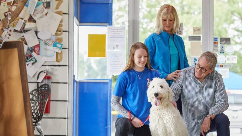 All American Pet Resorts