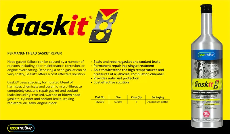 buy a franchise Automotive Products EcoMotive