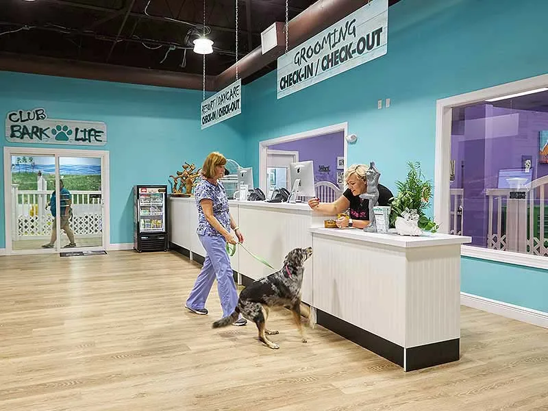 About Bark Life franchise