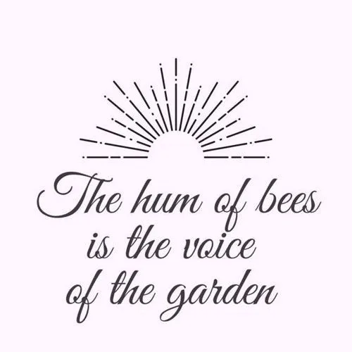 franchise business HEALTHY-5 franchise business HEALTHY-5