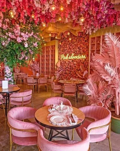 Saya franchise investment