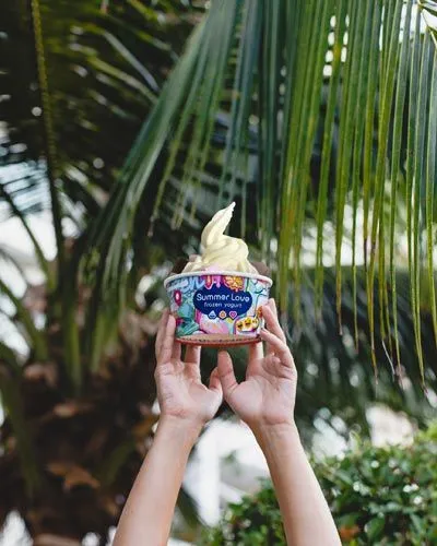 best franchise to invest in - Summer Love Franchise best franchise to invest in - Summer Love Franchise