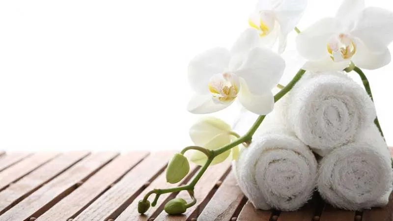 The Best Spa Franchise Business Opportunities in USA for 2025