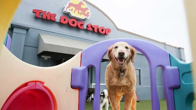 The Dog Stop franchise The Dog Stop franchise