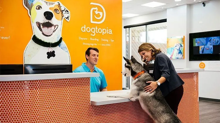 Dogtopia franchise