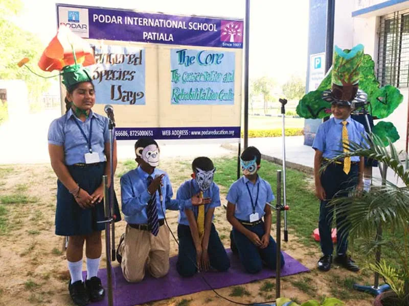 Podar Education Network Franchise in India