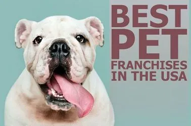Best 10 Pet Franchises in USA in 2025