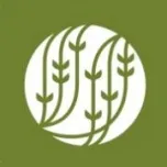 Palais des Thés franchise