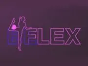 BE FLEX franchise company