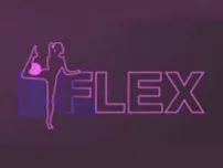BE FLEX franchise