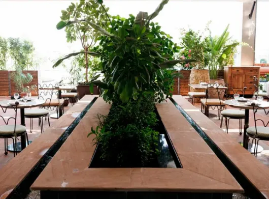 Modern Persian Fine Dining Franchise